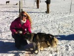 Sarah dog sledding